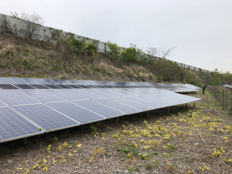 【現地写真あり】太陽光プロジェクト1号 雑草の状況をご報告いたします。 太陽光投資ファンド【メガ発ファンド】